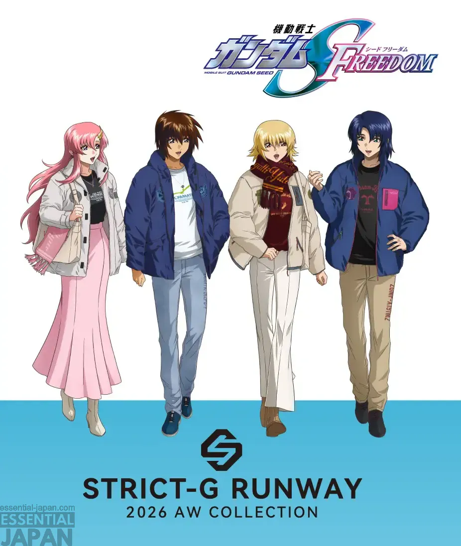 gundam seed runway hikeshi spirit strict g 20