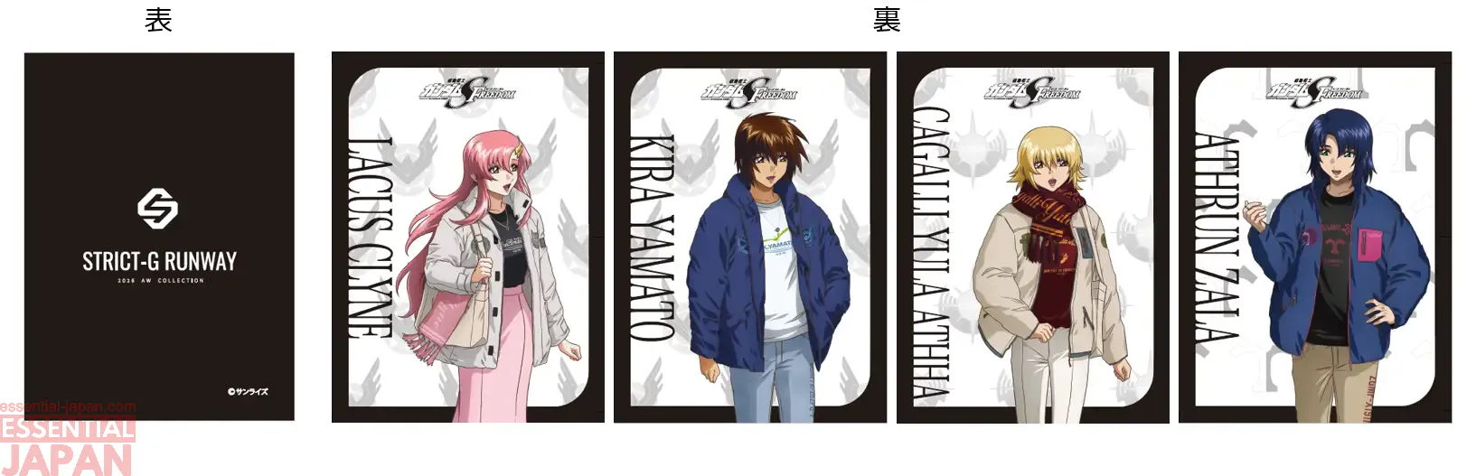 gundam seed runway strict g 2