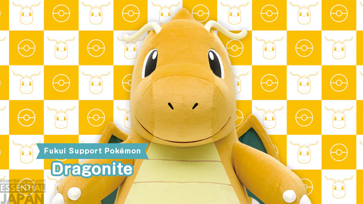 pokemon local acts fukui dragonite 2