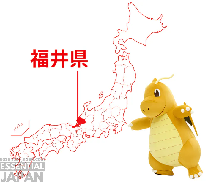 pokemon local acts fukui dragonite