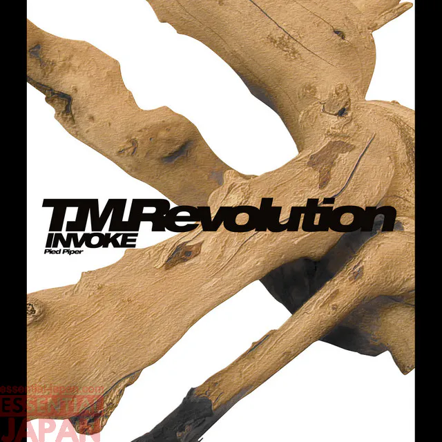 t.m.revolution invoke